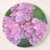 パステルピンクホルテンシアアジサイの花 コースター (正面)