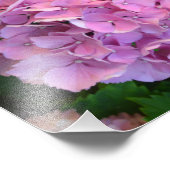 パステルピンクホルテンシアアジサイの花 フォトプリント            (角)