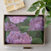 パステルピンクホルテンシアアジサイの花 薄葉紙 (ギフト)