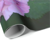 パステルピンクホルテンシアアジサイ開花 ラッピングペーパー (ロールコーナー)