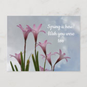 パステルピンクレインリリー恋しく思フローラズ ポストカード (正面)