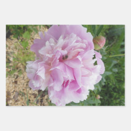 パステルピンク牡丹とハニービー ラッピングペーパーシート