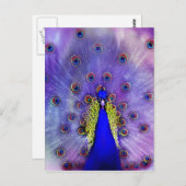 パステルピーコックブルーバード ポストカード (正面/裏面)