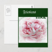 パステルフラワー ポストカード (正面/裏面)