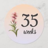 パステルフローラ34-35週妊娠マイルストーンカード (裏面)