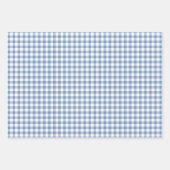 パステルブルーギンガムデイジーフラワー水玉模様パターン ラッピングペーパーシート (正面)