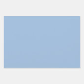 パステルブループレーン無地のカラー ラッピングペーパーシート (正面)