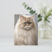 パステルペルシャ猫ポートレート ポストカード (スタンド正面)