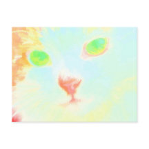 パステルメーンクーンキャットイメージ – ポストカード