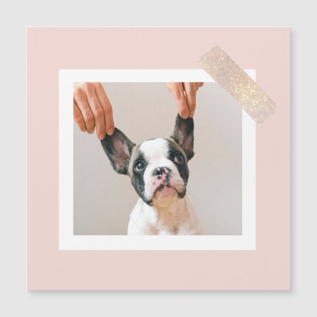 パステルモダンピンクフレーム |個人用の犬の写真 (正面)