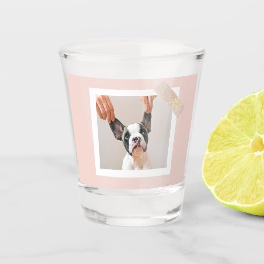 パステルモダンピンクフレーム |個人用の犬の写真 ショットグラス (正面)