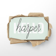 パステルモダンミントハローアンドユー名