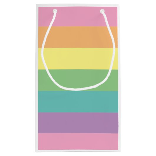 パステルレインボーストライプ抱き枕 スモールペーパーバッグ (裏面)