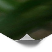 パステル牡丹水彩プリントピンクホワイトポスター ポスター (角)