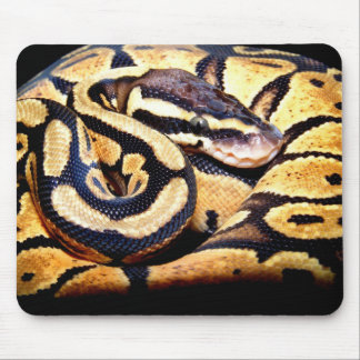 パステル調の球のマウスパッド マウスパッド