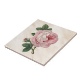 パステル調ピンクのキャベツばら色のサテンの旧式で霧深い白 タイル (側面)