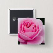 パステル調ピンクのバラPin 缶バッジ (正面&裏面)