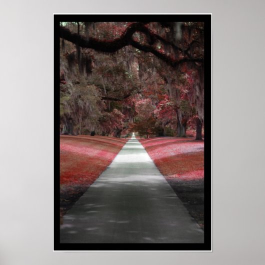 パスプリント ポスター (正面)