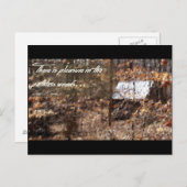 パスレスウッド ポストカード (正面/裏面)