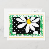 パスーバーデイジーはがき ポストカード (正面/裏面)