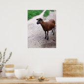 パス上のヤギのポスター ポスター (キッチン)