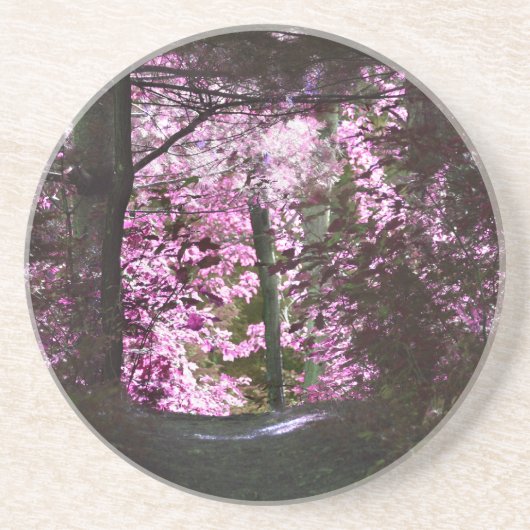 パス上のライト自然コースター コースター (正面)