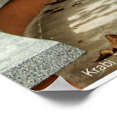 パス後を追...プリント ポスター (角)