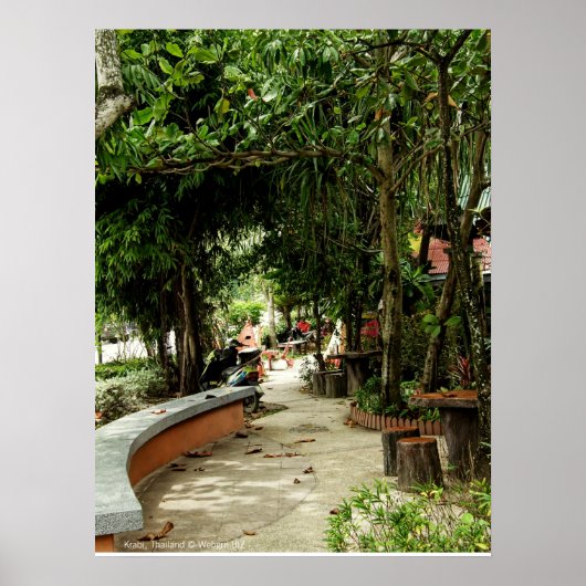 パス後を追...プリント ポスター (正面)