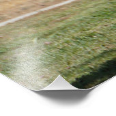 パス フォトプリント            (角)