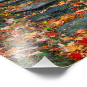 パス フォトプリント            (角)