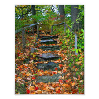 パス フォトプリント           