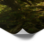 パス ポスター (角)