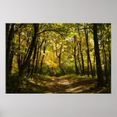 パス ポスター (正面)