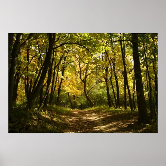 パス ポスター (正面)