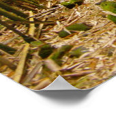 パス ポスター (角)