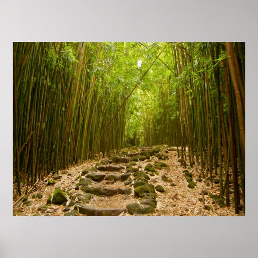 パス ポスター (正面)