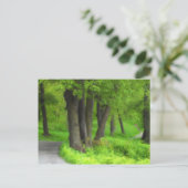 パス ポストカード (スタンド正面)