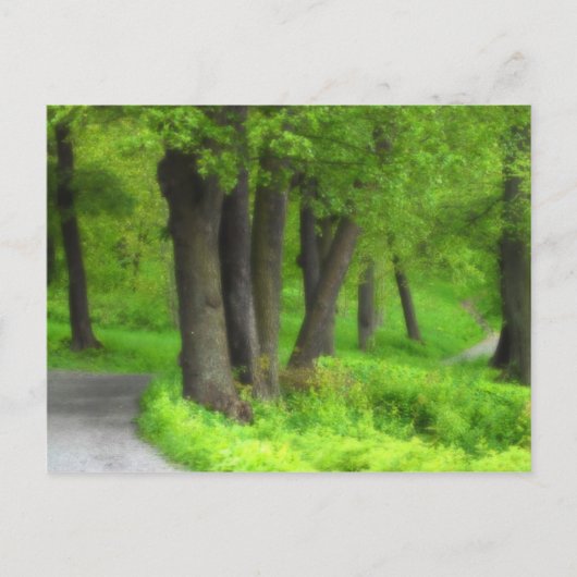 パス ポストカード (正面)