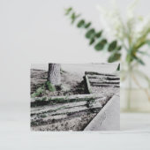 パス ポストカード (スタンド正面)