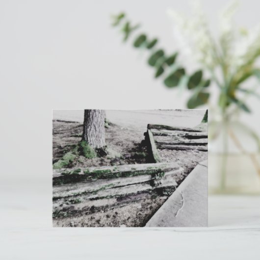 パス ポストカード (スタンド正面)