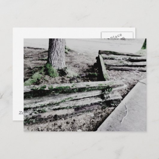 パス ポストカード (正面/裏面)