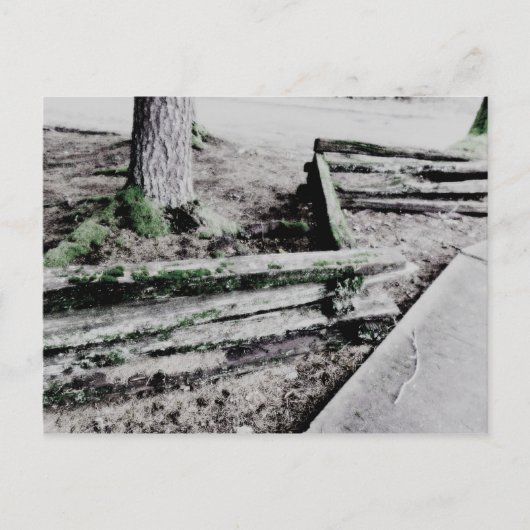 パス ポストカード (正面)