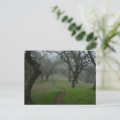 パス ポストカード (スタンド正面)