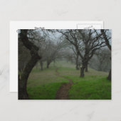 パス ポストカード (正面/裏面)