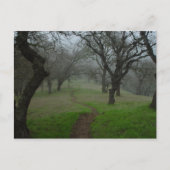 パス ポストカード (正面)