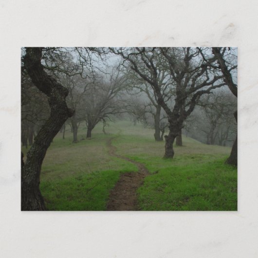 パス ポストカード (正面)