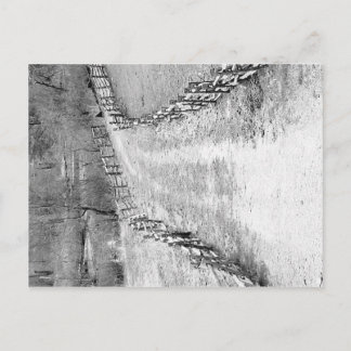 パス ポストカード