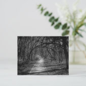 パス ポストカード (スタンド正面)