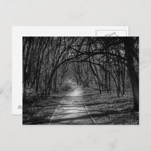 パス ポストカード (正面/裏面)