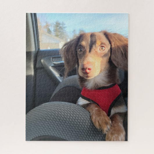 パズルと子犬 ジグソーパズル (縦)